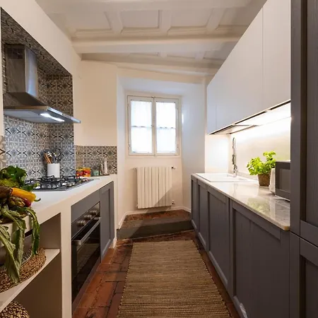 Apartment Pitti - Tuscan Charming Florence
